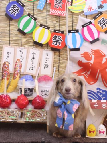 20240705ぺこちゃん